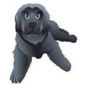 Meet your Posher, Kellie